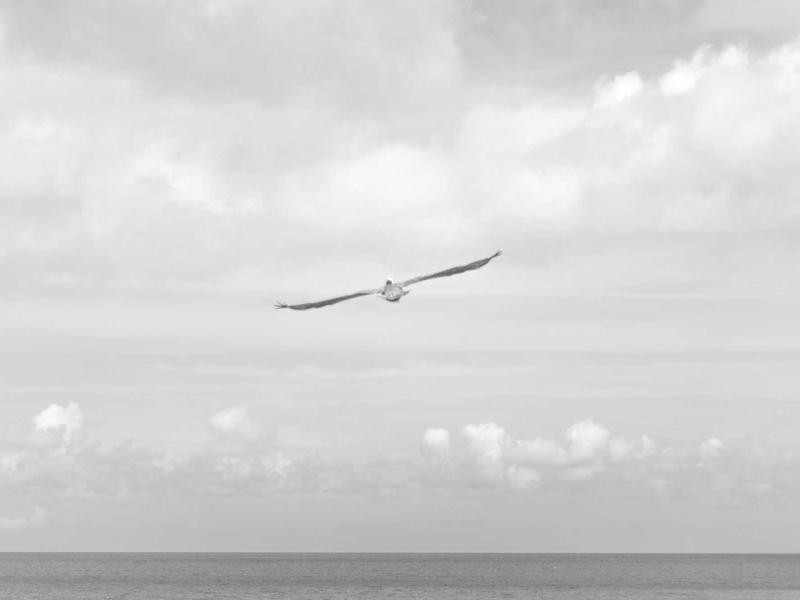 VelnarOrbisCly Mendoza